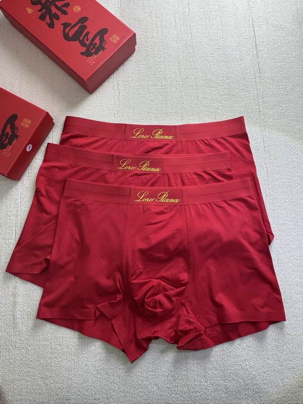 LP boxer L-4XL 07